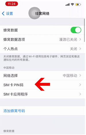 江城苹果14维修网分享如何给iPhone14的SIM卡设置密码 