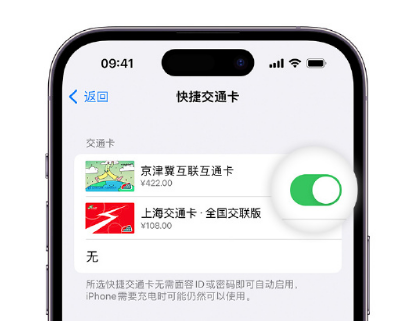 江城apple维修点分享iPhone上更换Apple Pay快捷交通卡手绘卡面 