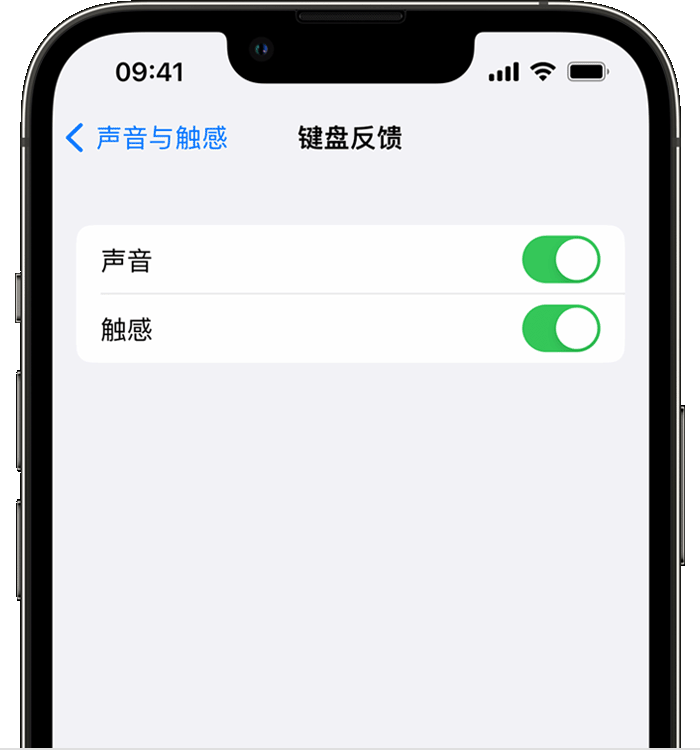 江城苹果14维修店分享如何在 iPhone 14 机型中使用触感键盘 