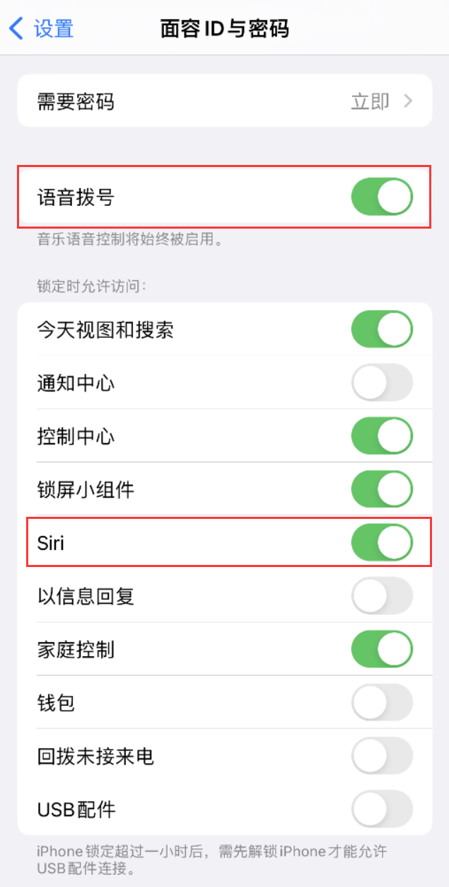 江城苹果维修网点分享不解锁 iPhone 的情况下通过 Siri 拨打电话的方法 