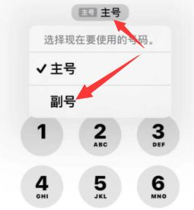 江城苹果14维修店分享iPhone 14 Pro Max使用副卡打电话的方法 