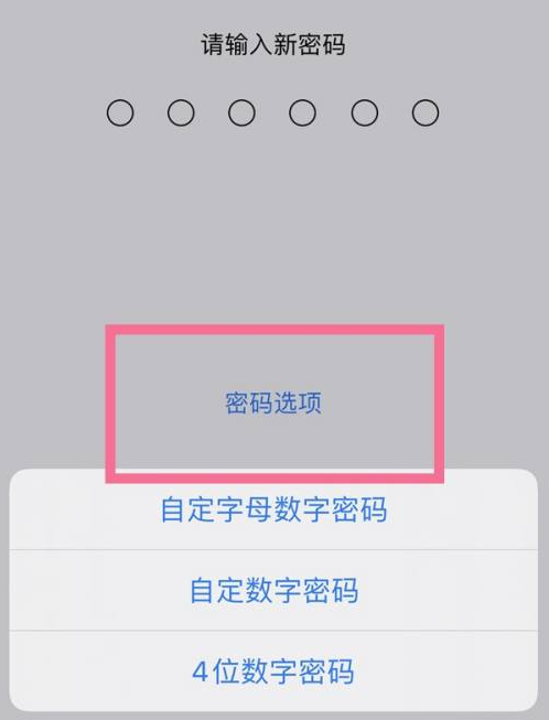 江城苹果14维修分享iPhone 14plus设置密码的方法 