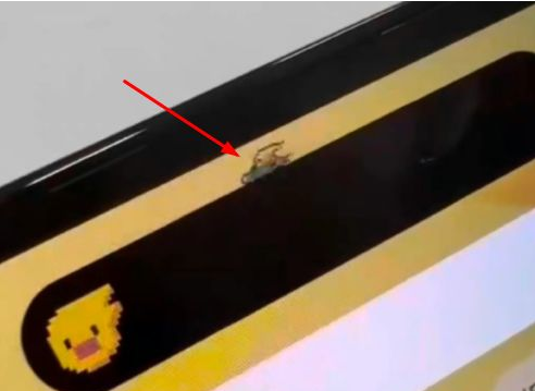 江城苹果14维修分享iPhone 14 Pro Max灵动岛怎么养宠物 