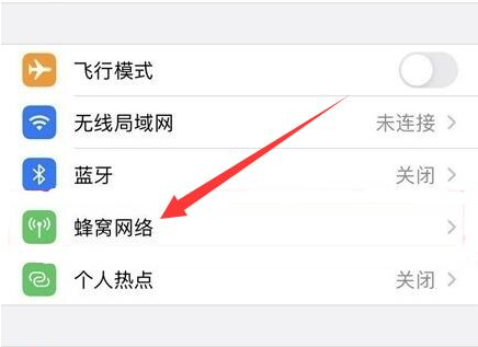 江城苹果手机维修分享iPhone手机4G网络怎么设置成5G网络 