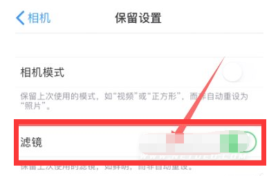 江城苹果13维修分享iPhone13拍照有绿点是怎么回事 
