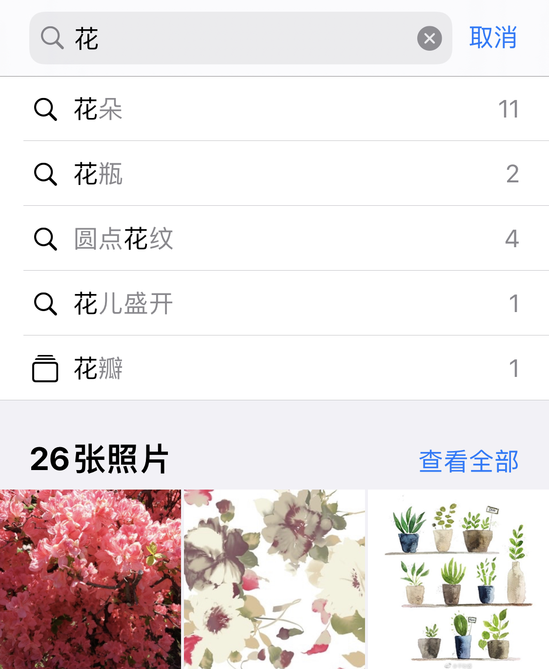 江城苹果手机维修分享iPhone 小技巧 