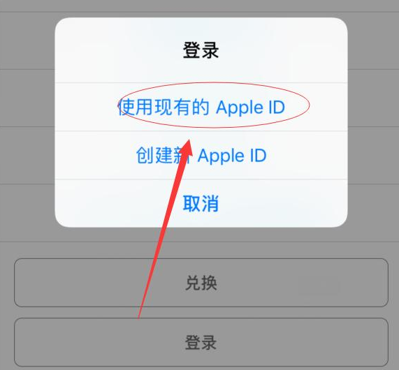 江城苹果手机维修分享两台iPhone设备可以同时登录一个Apple ID吗 