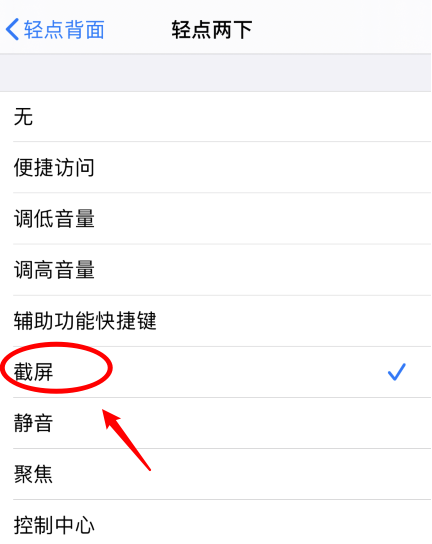 江城苹果手机维修分享iPhone12如何启用双击截屏 