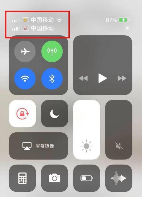 江城苹果手机维修分享为 iPhone 12 双卡设置标签 